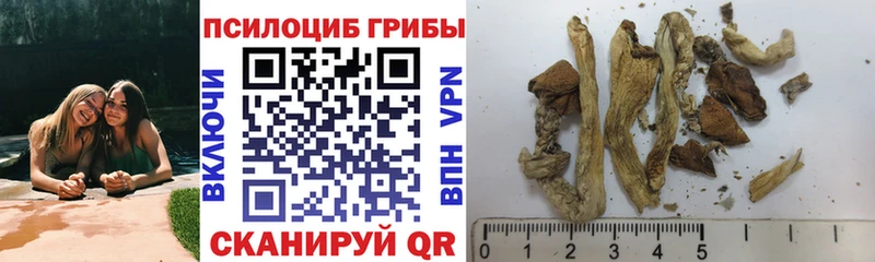 Галлюциногенные грибы ЛСД Долинск